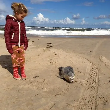 アパート Witte Huisje Aan Zee